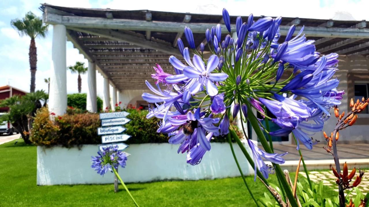 Blue Marine Apartment بوزالو المظهر الخارجي الصورة